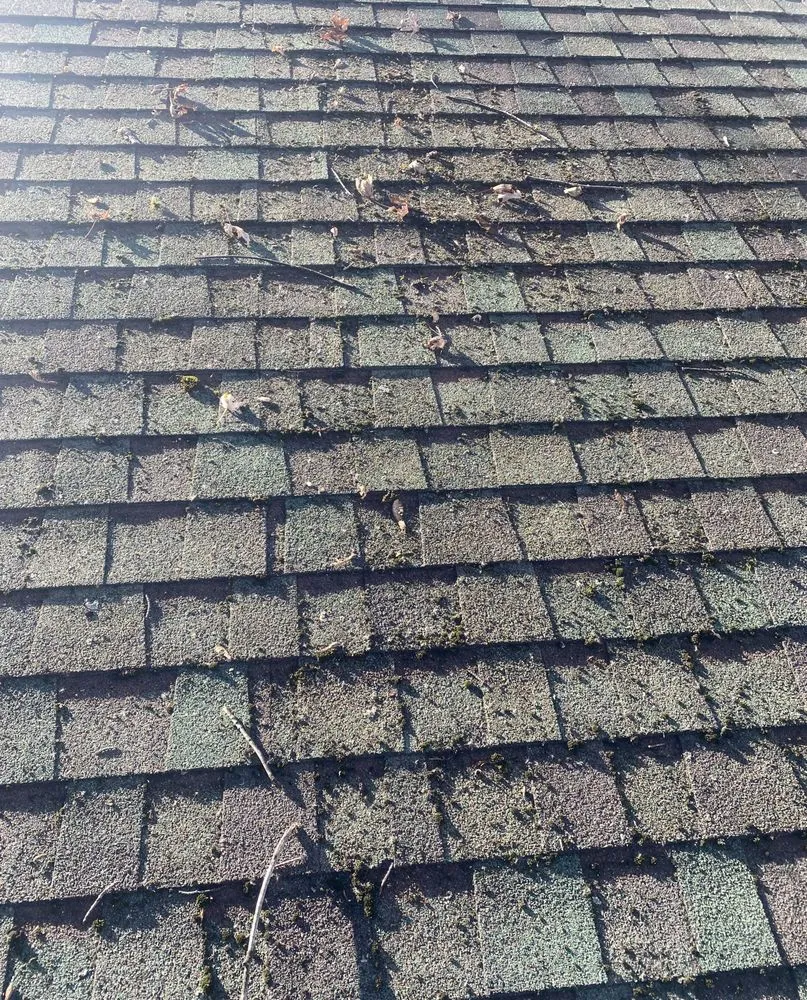 Slide of Clean Roof Today