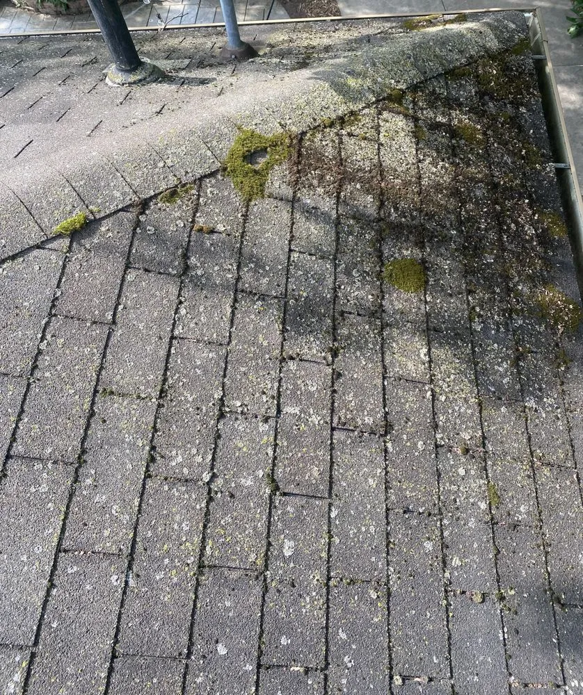 Slide of Clean Roof Today