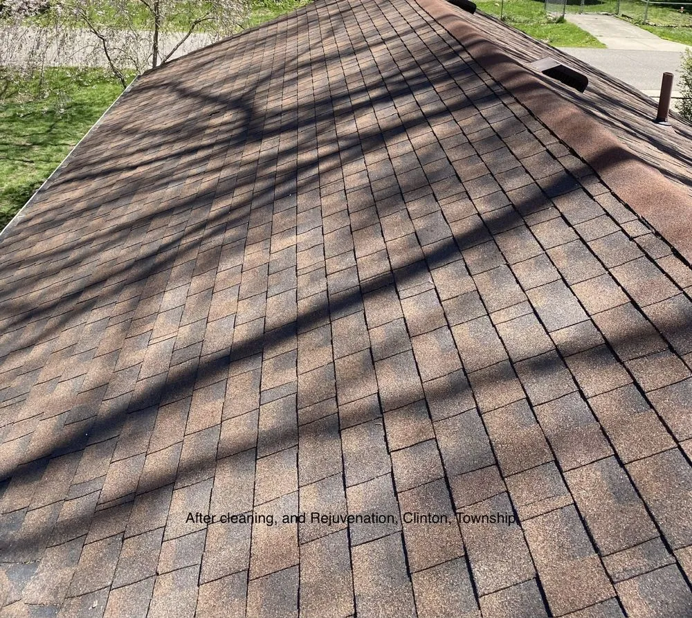 Slide of Clean Roof Today