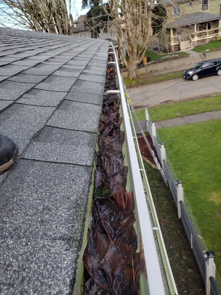 Slide of Clean Sweep