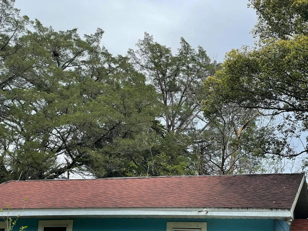 Slide of Clean To Be