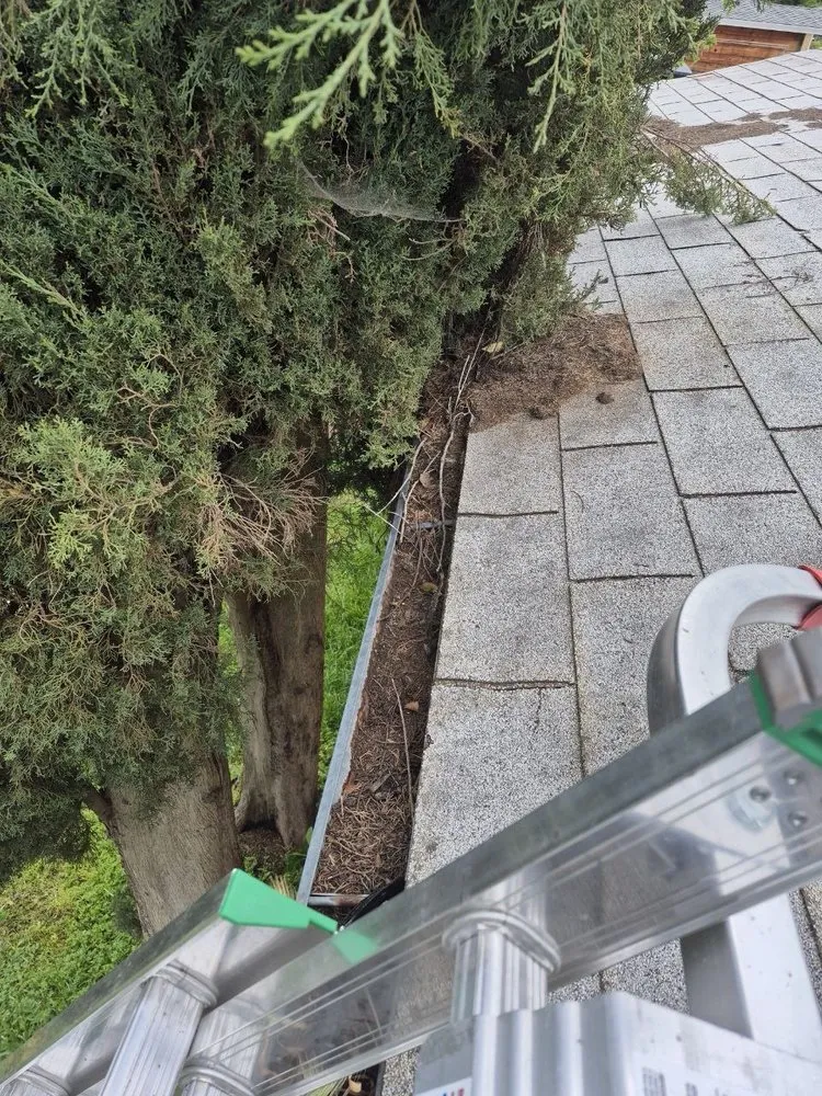 Emergency roof repair for homes across Arden-Arcade, CA - Cleaning Gutters Service