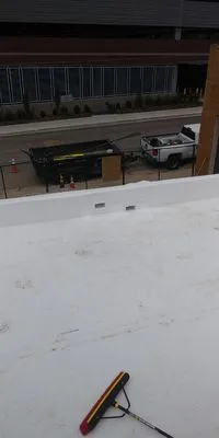 Cleaning Services and More