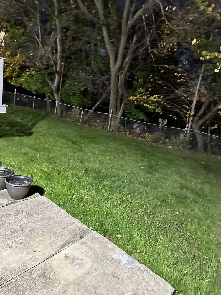 Slide of Cleaning With Meaning