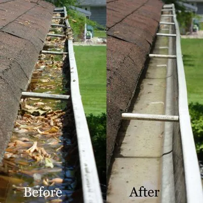 Cleanz Gutter and Roof Cleaning