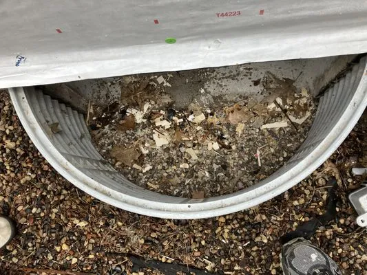 Clear Choice Restoration