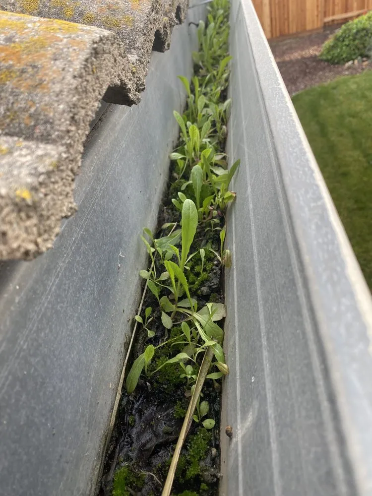 Slide of Clear Flow Roofing
