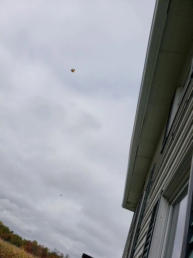 Slide of Clear Mountain Building