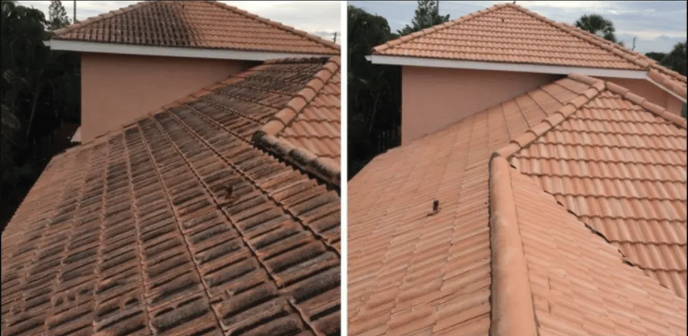 Slide of Clear Peak Roof Cleaning