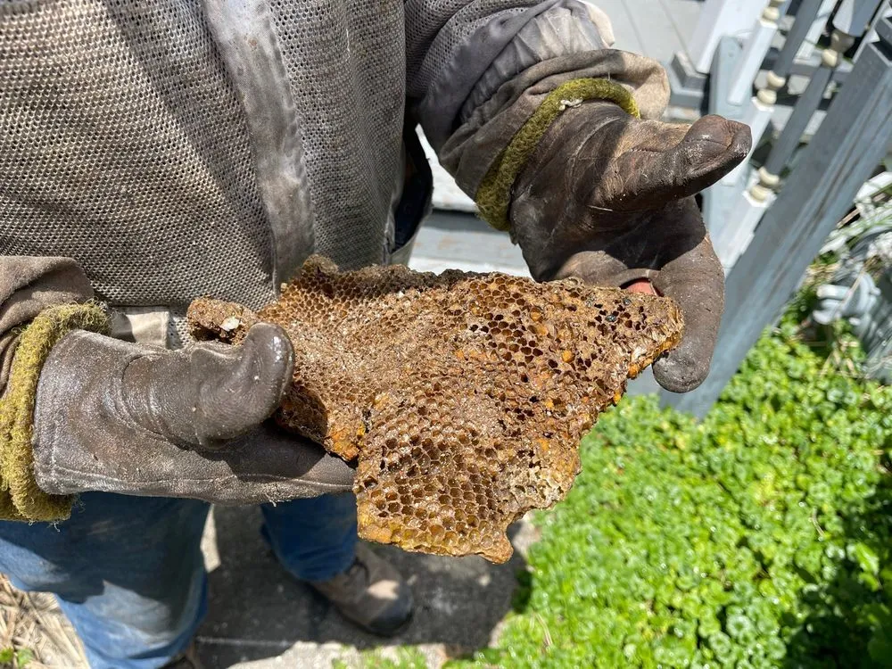 Slide of Clearview Construction