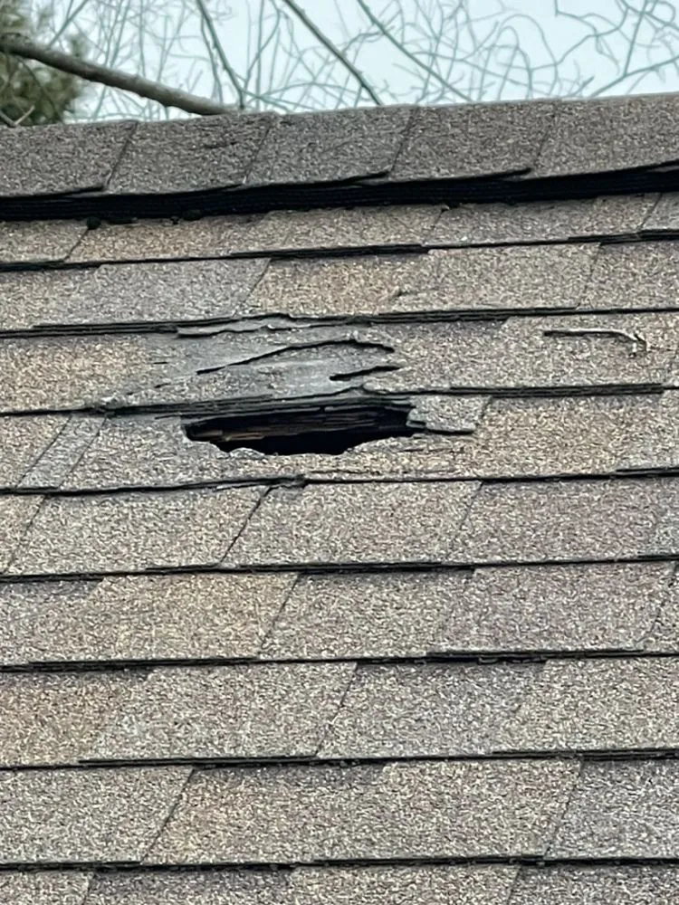 Slide of Clearview Roofing and Restoration