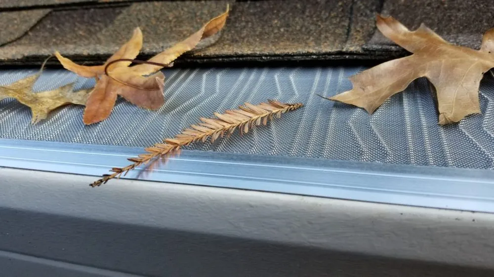 Expert roof leak repair in Clifton, VA by Clifton Exteriors