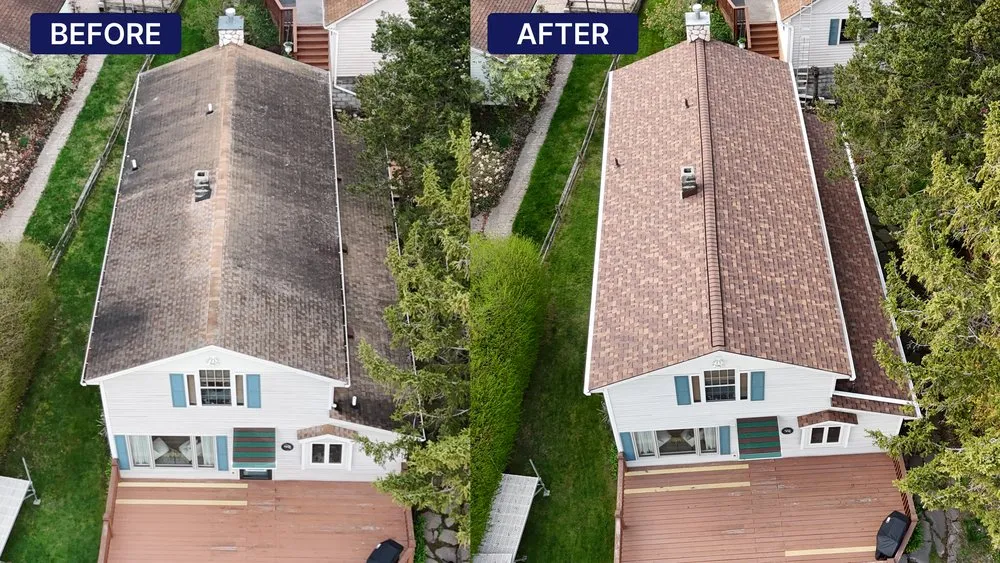 Slide of Climb Above Roofing