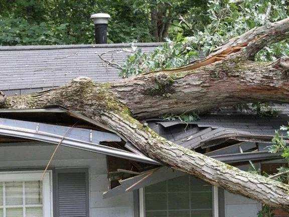 Slide of Closure Contracting