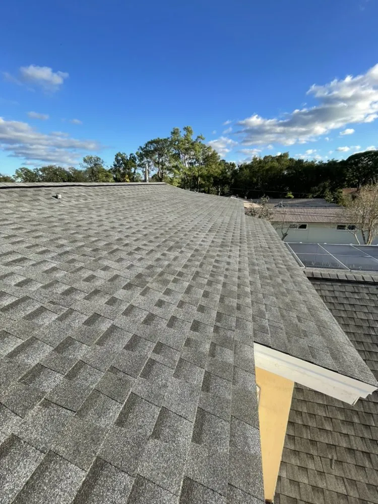 Professional shingle roofing service experts serving Tampa Bay, FL - Clover Roofing