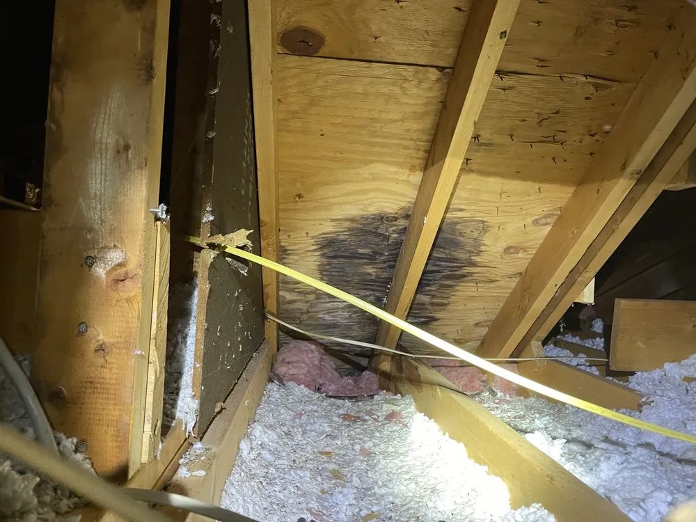 Slide of CLT Exteriors