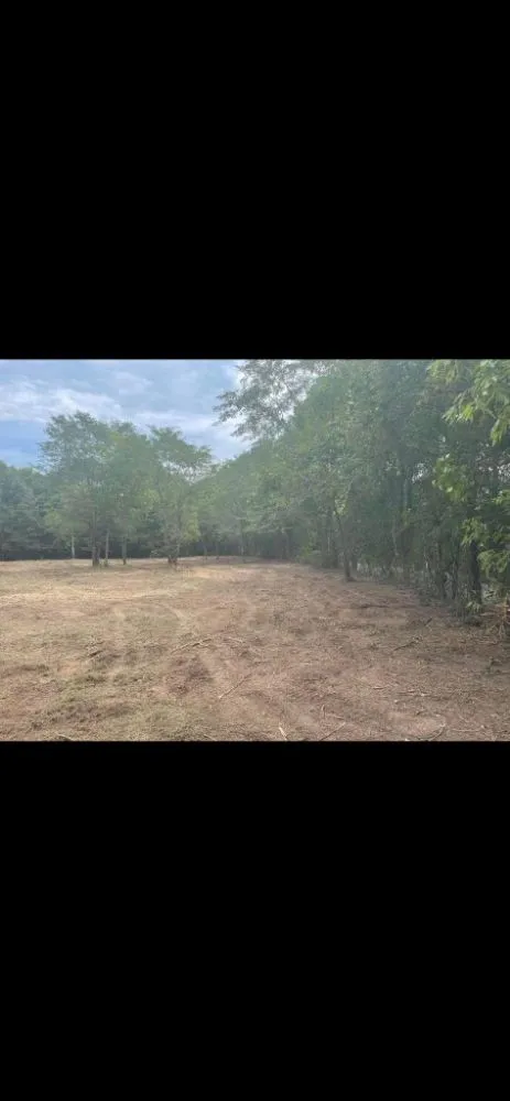 Slide of CM Roofing Florida