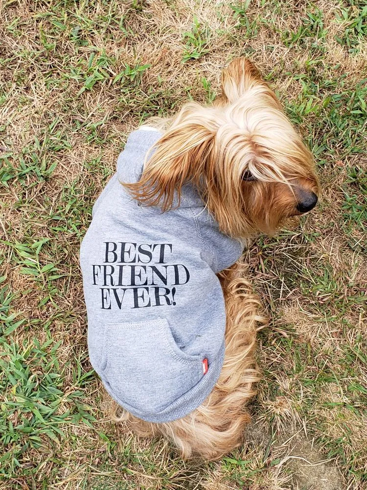 Slide of CMP Property Services