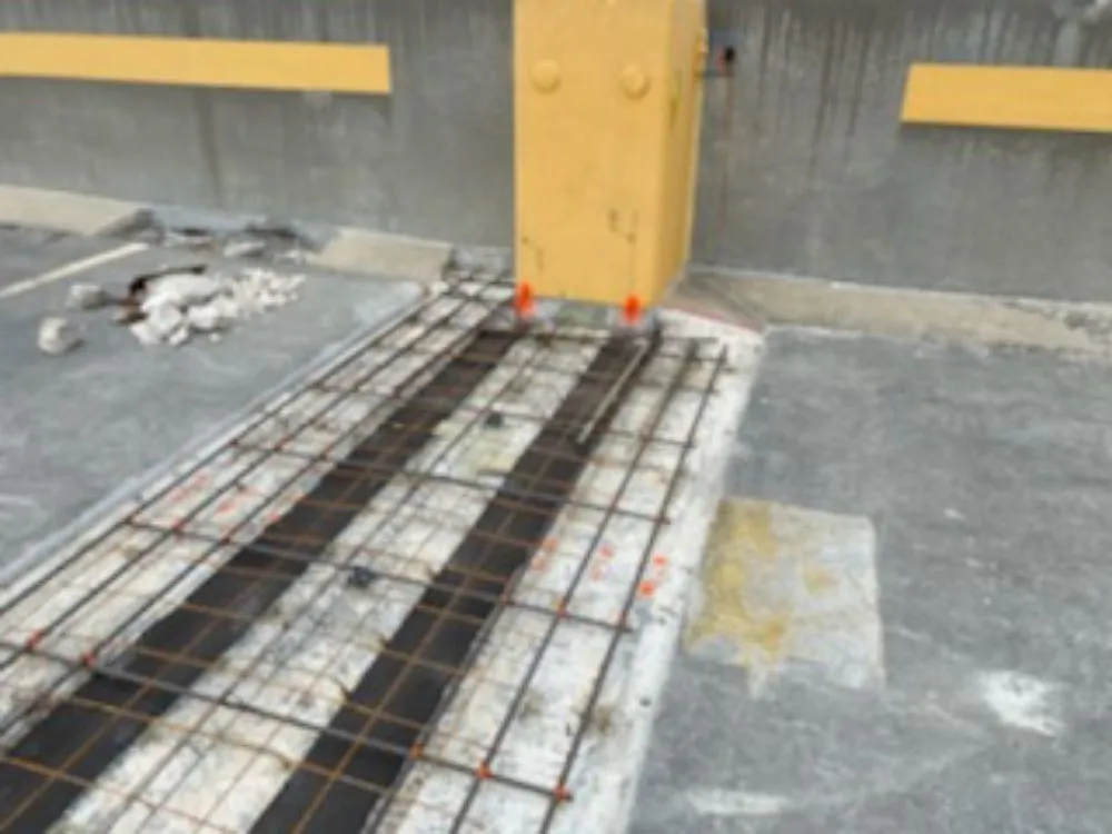 Slide of CMR Florida