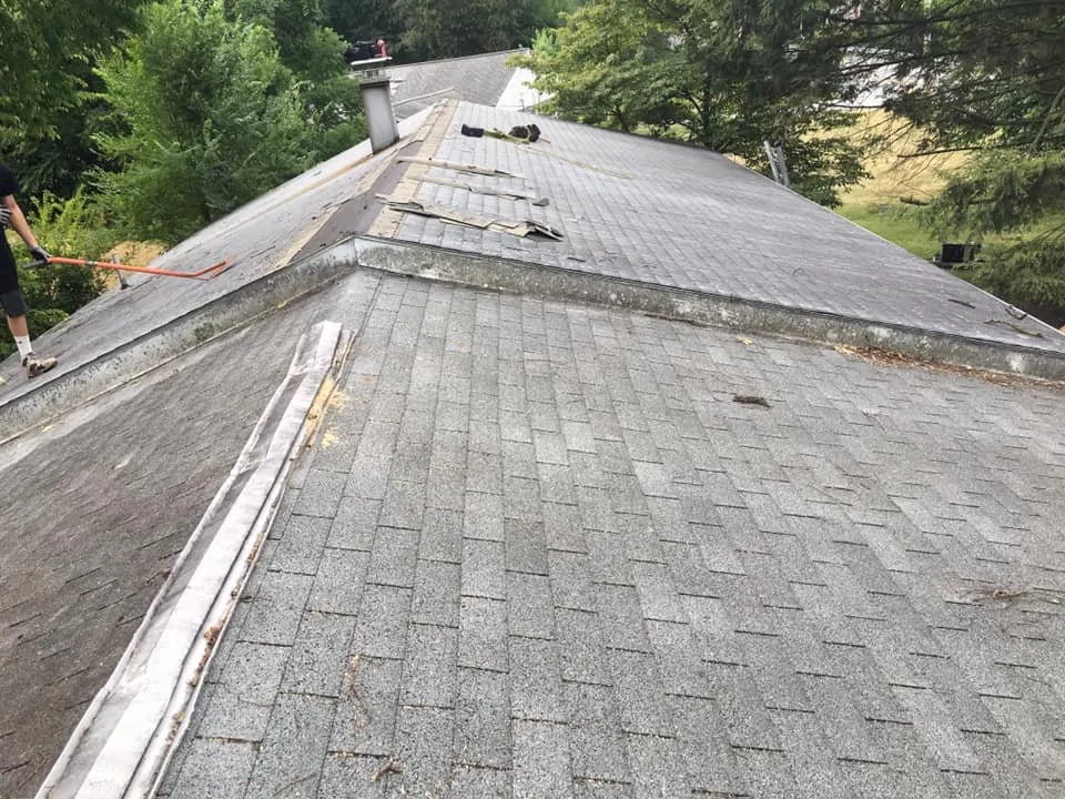 Slide of CMS Renovation Services