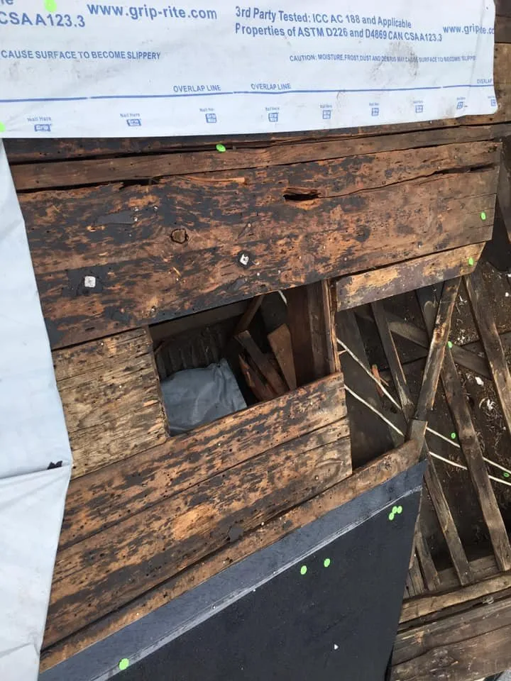 Slide of CMS Renovation Services