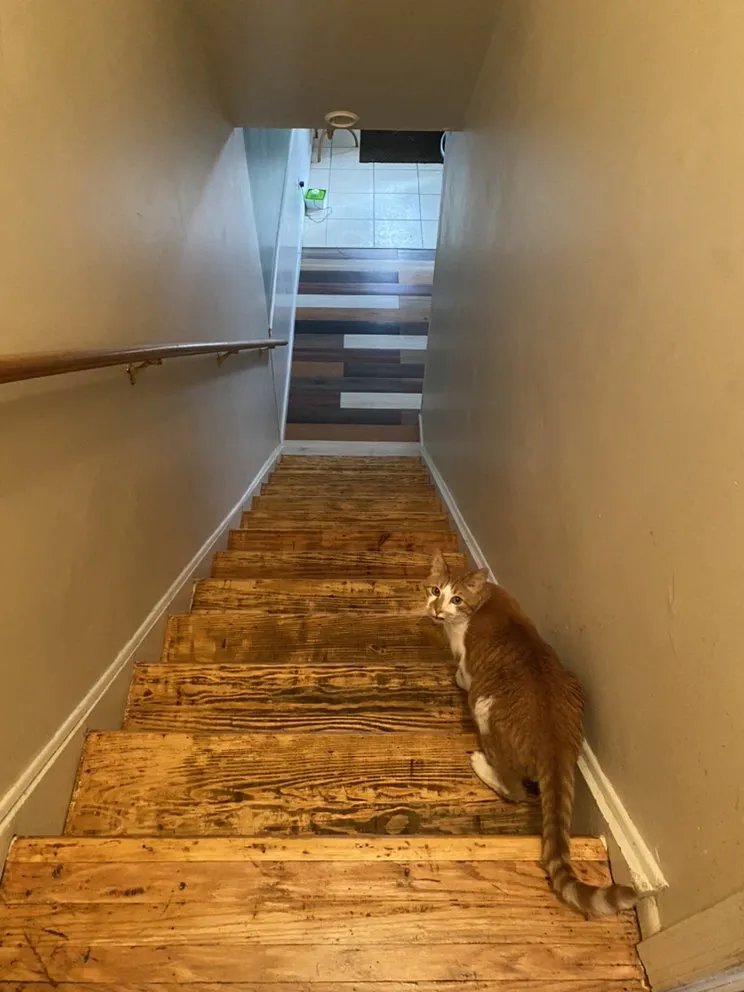 Slide of CN Construction