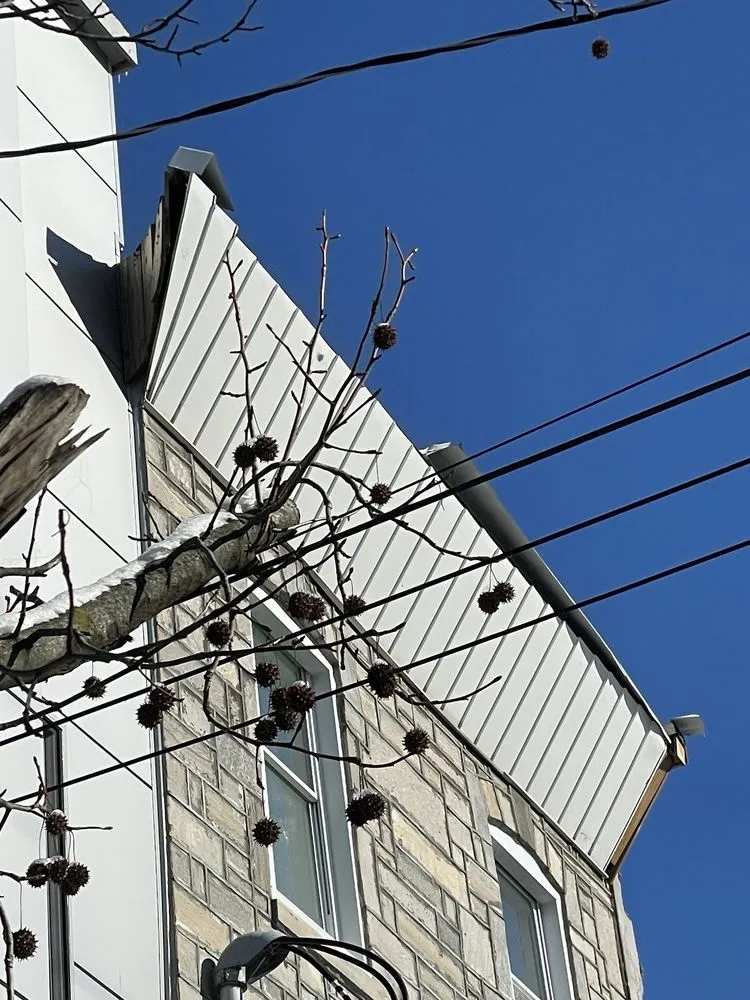 Slide of CNJ Construction & Roofing