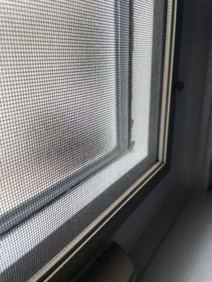 CNL Construction & Maintenance Logo