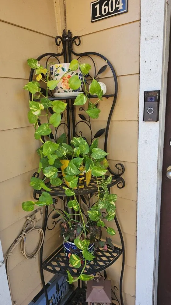 Slide of CNM Roofing