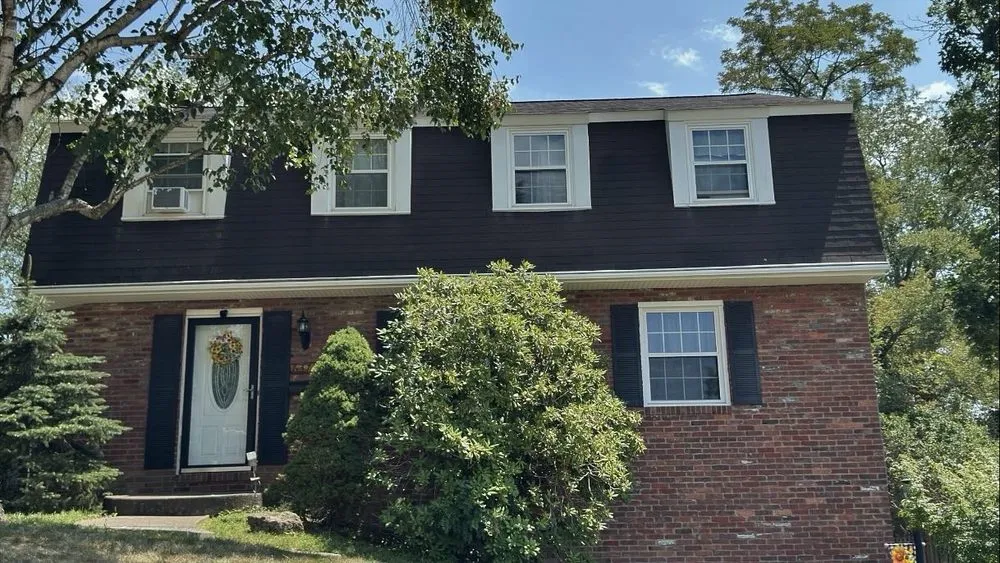 Slide of CNS Construction