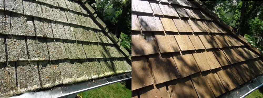 Slide of Coast Roof Cleaning