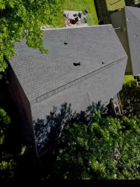 Slide of Coastal Construction