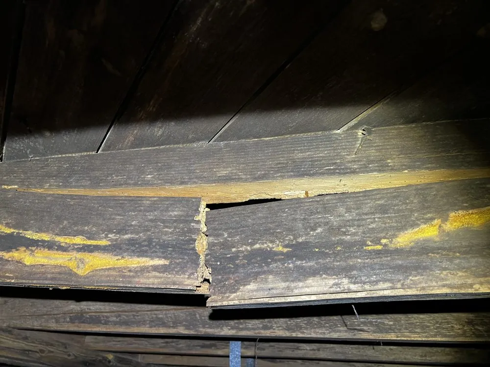 Slide of Coastal Crawl Space & Foundation Repair