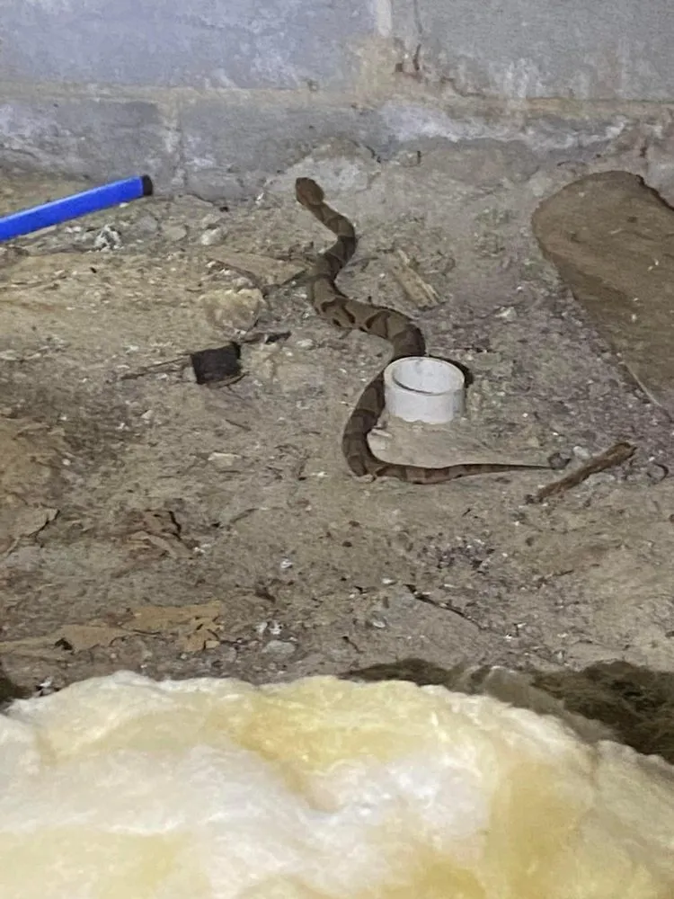 Slide of Coastal Crawl Space & Foundation Repair