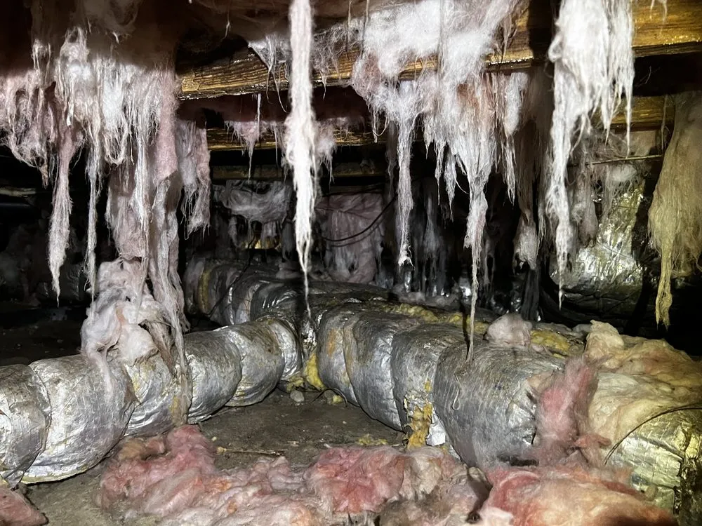 Slide of Coastal Crawl Space & Foundation Repair