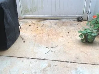 Slide of Coastal Empire Roofing And Pavement