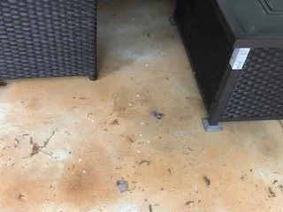 Slide of Coastal Empire Roofing And Pavement