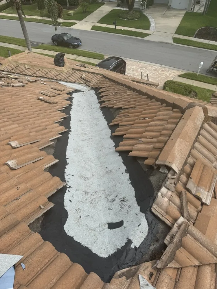 Expert shingle roofing service in Tampa Bay, FL - Coastal Ridge Roofing & Construction