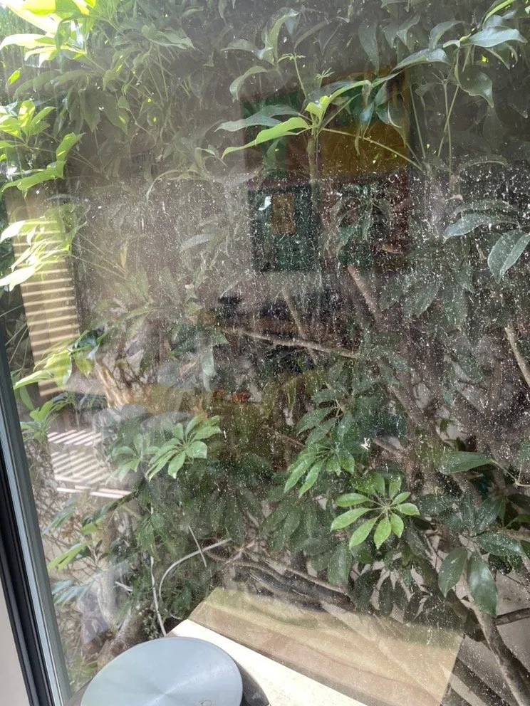 Slide of Coastal Roofing