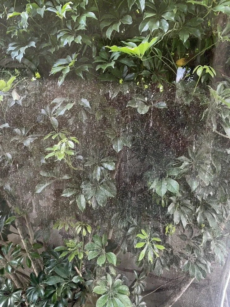 Slide of Coastal Roofing