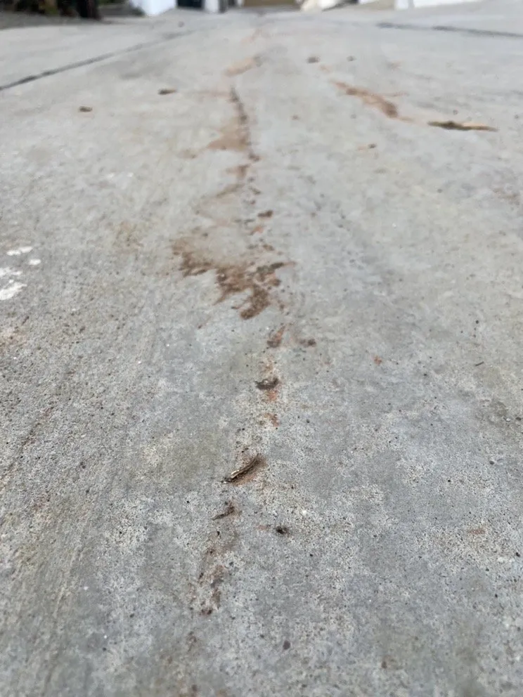 Slide of Coastal Roofing