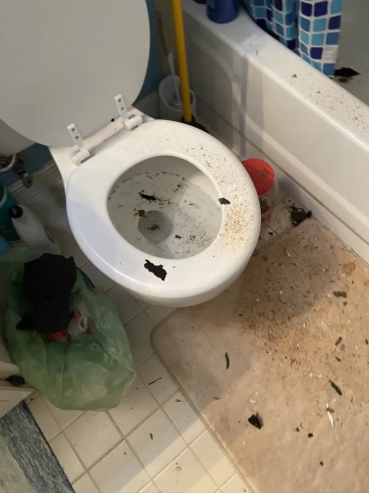 Slide of Coastal Roofing Professionals