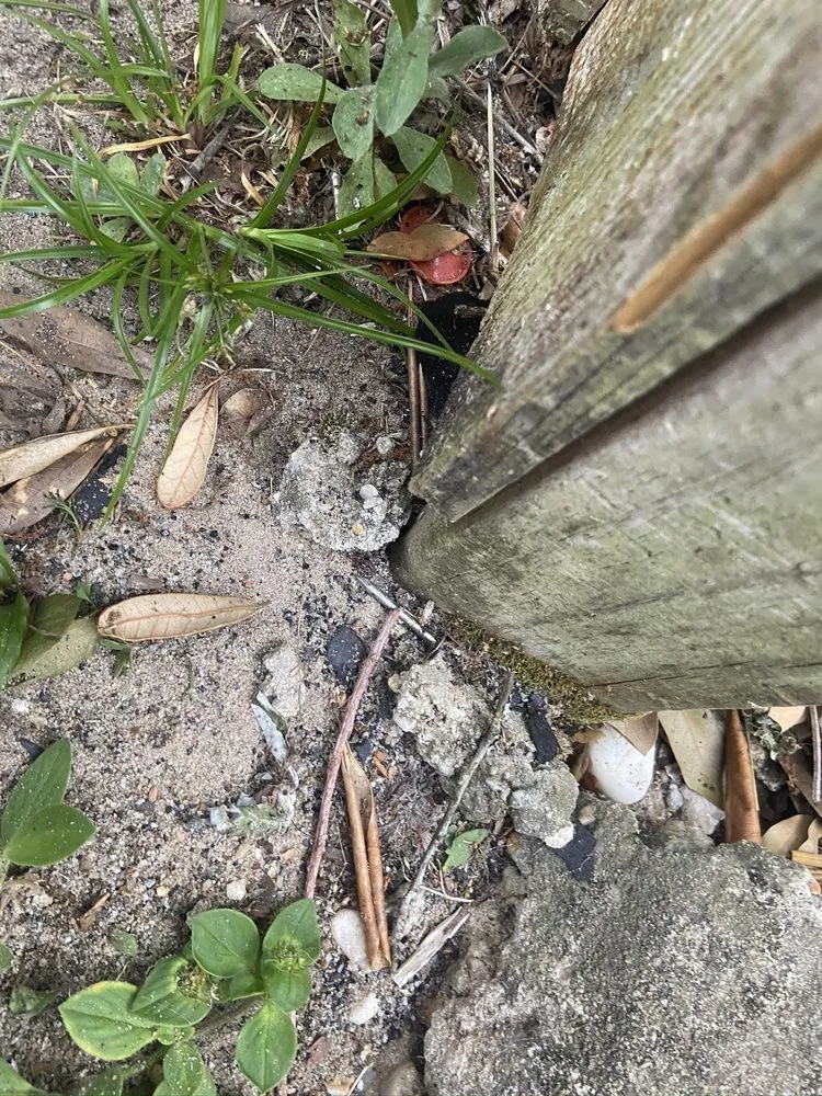 Slide of Coastal Roofing Professionals