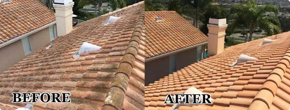 Slide of Coastal Softwash USA