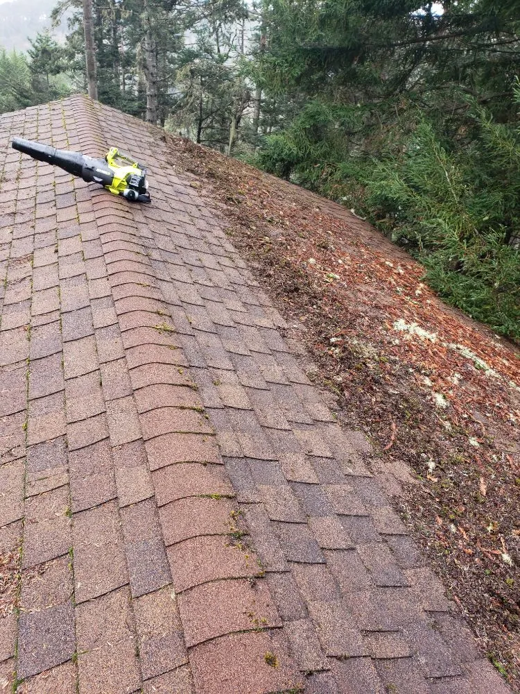 Trusted residential roofing service experts serving Elk, CA - Coastline Chimney Service