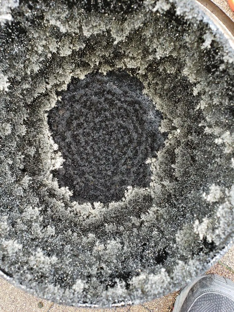 Trusted flat roof repair in Elk, CA - Coastline Chimney Service