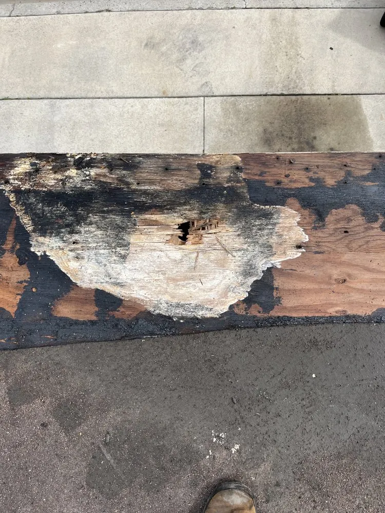 Slide of Coastline Roofing