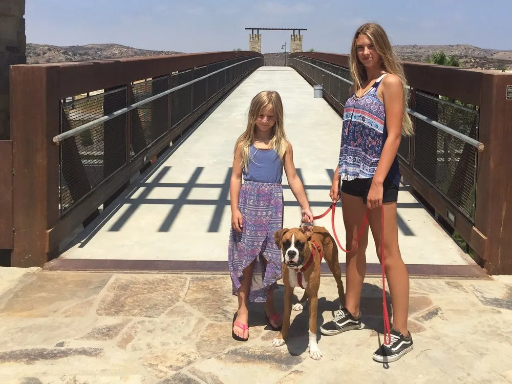 Slide of Coastline Roofing Services