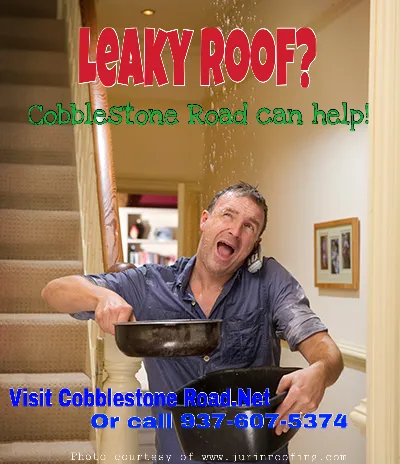 Slide of Cobblestone Road