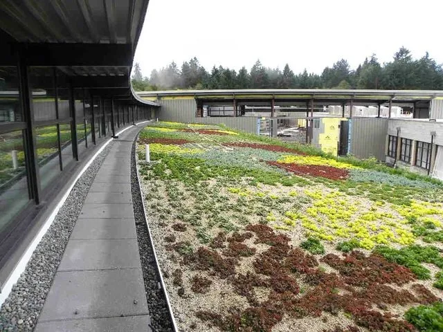 Slide of Cobra Building Envelope Contractors